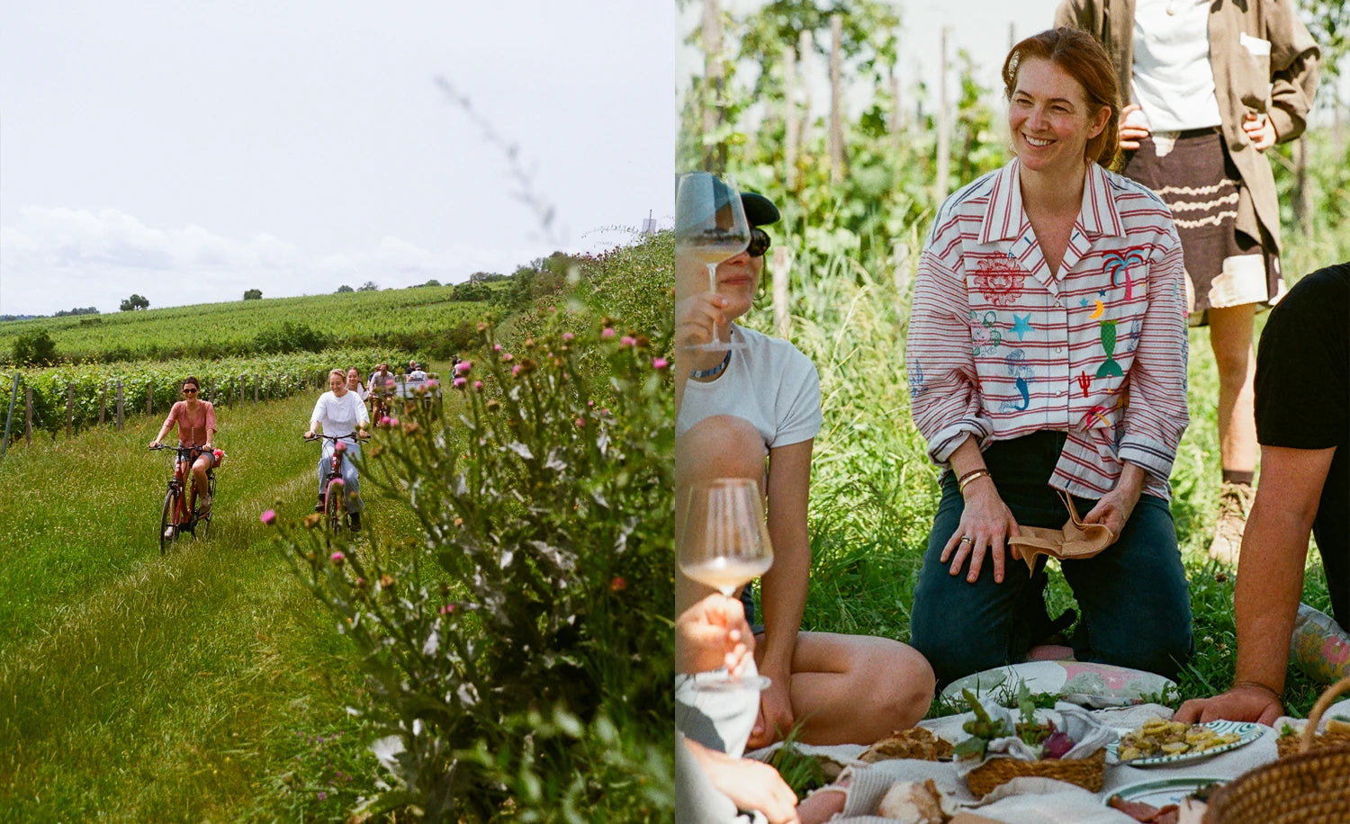 葡萄园骑行与野餐