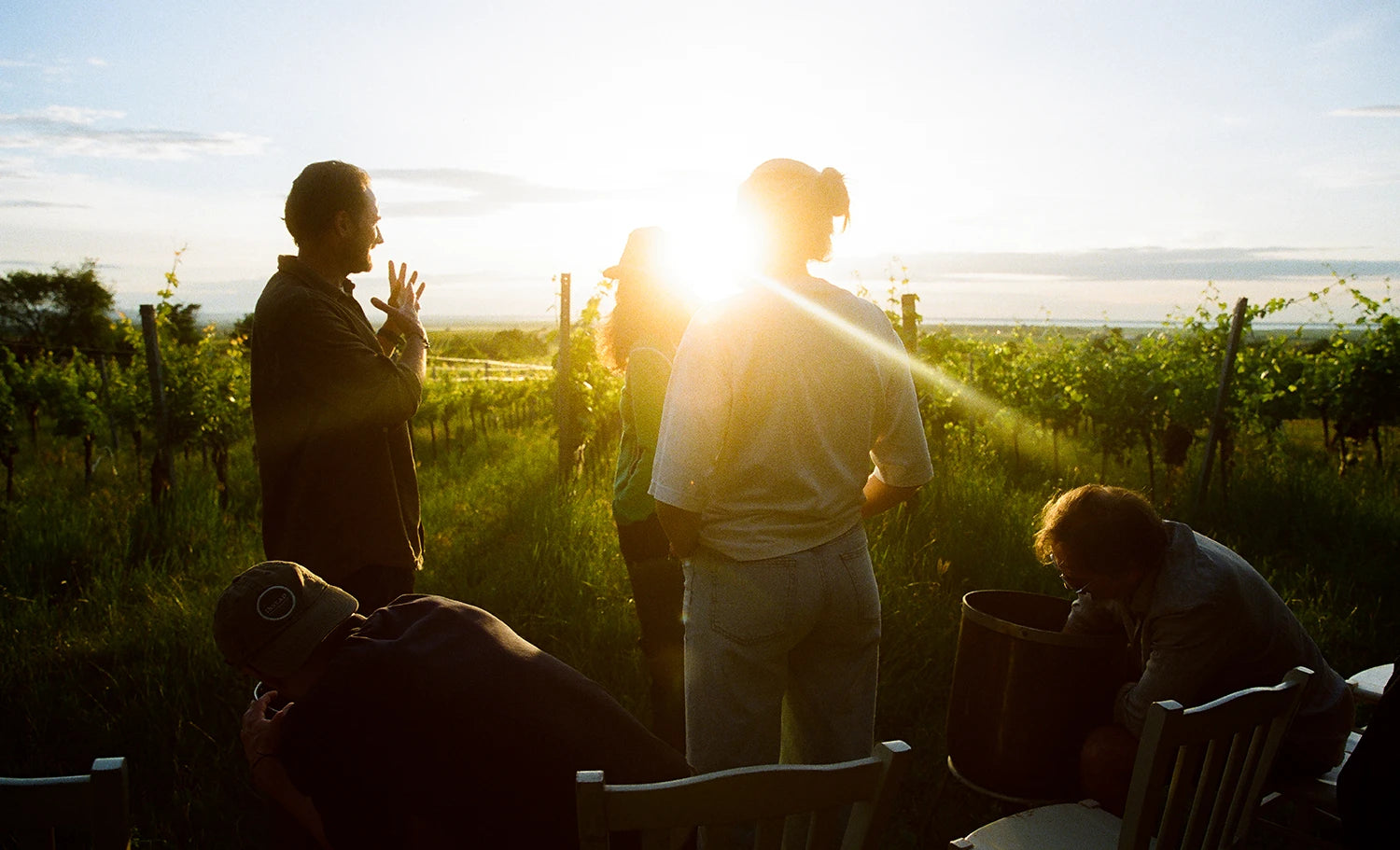 葡萄园中的黄昏聚会